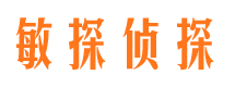 湘西寻人公司